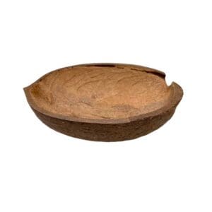 Traditional Kava Shell Kava Cup