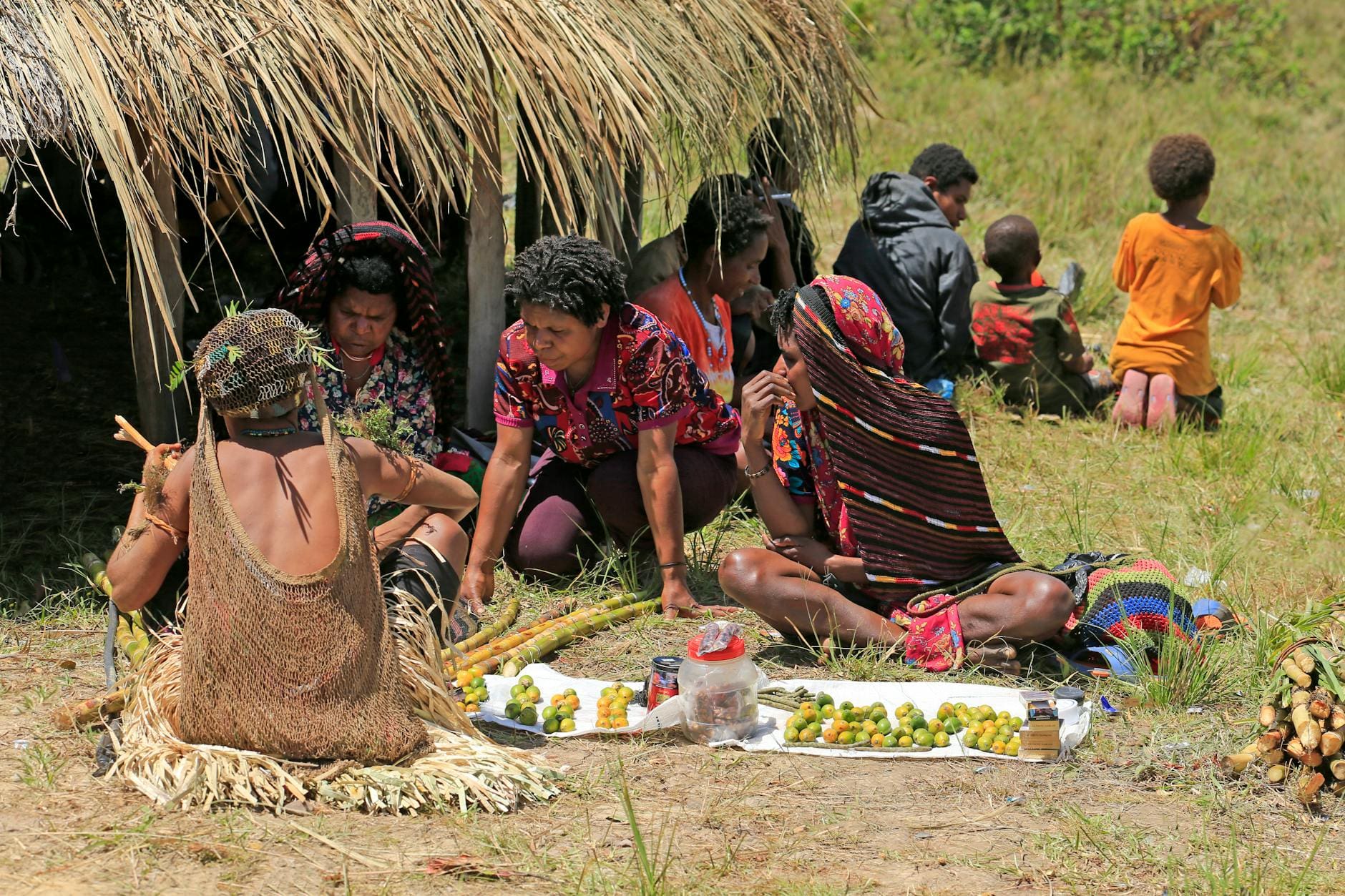 Happiest Kava in the World - Kava.com
