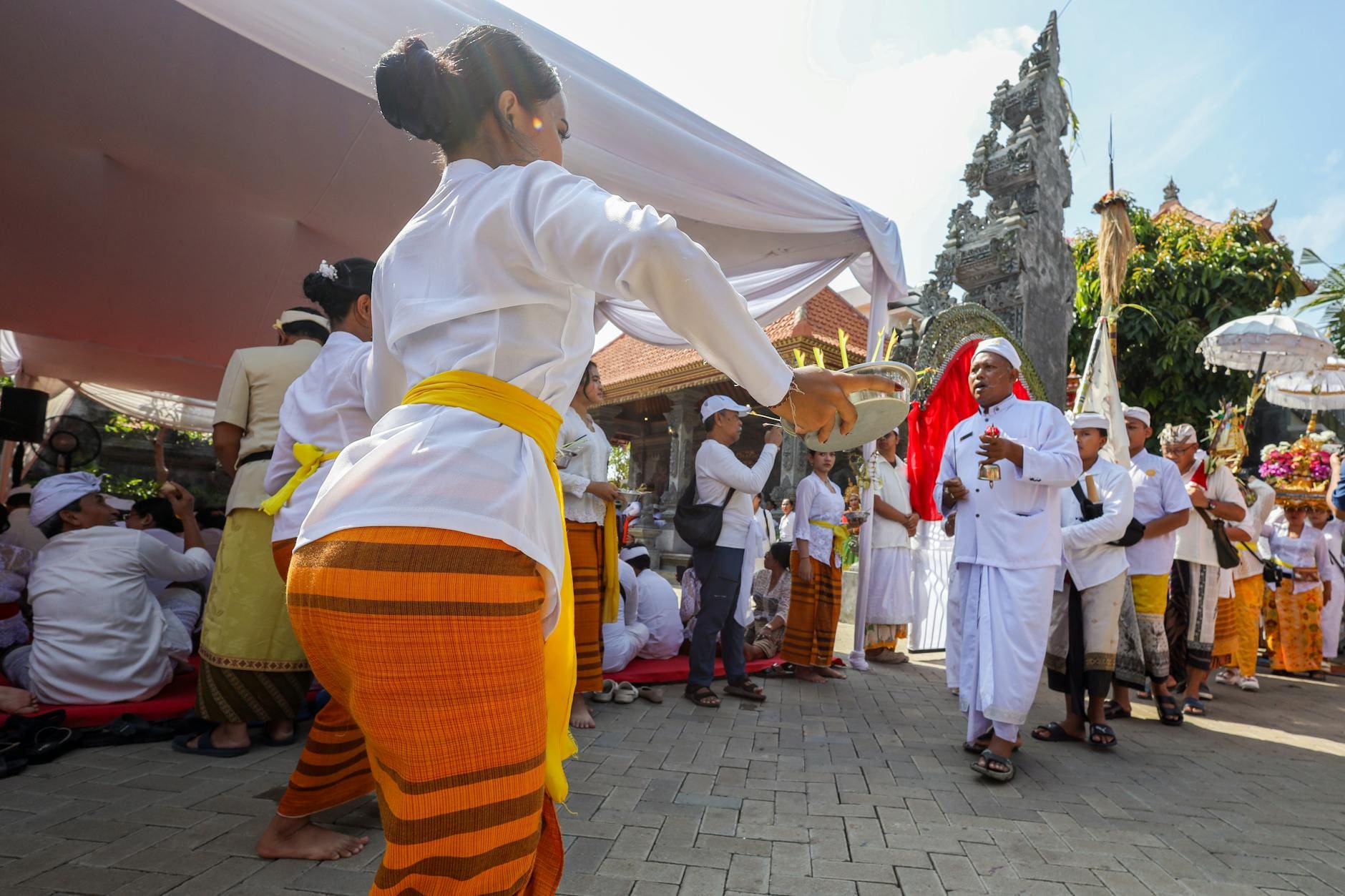 Have You Seen Kava Guru   Kavacom