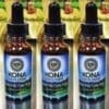 Kava Liquid Extract Tincture