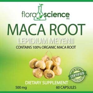 Maca root powder for added health benefits