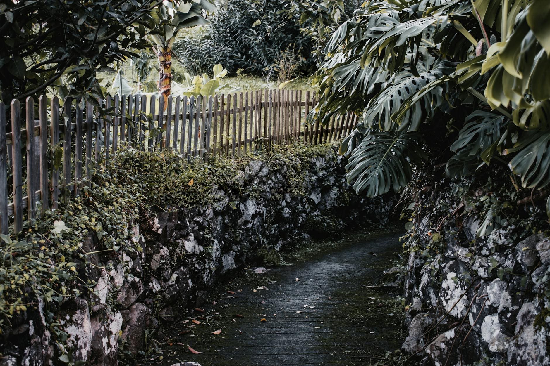 Both Stress and Anxiety Relief With Kava   Kavacom